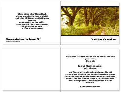 Wald, Waldweg, Bäume, Allee. Persönliche Trauerdankeskarten nach Trauerfall, Beerdigung und Todesfall