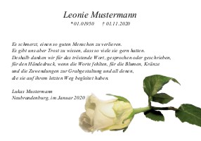 Weiße und rote Rosen. Danksagungen Trauer nach Beerdigung, Todesfall und im Trauerfall